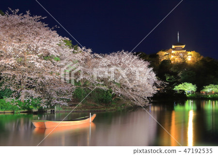 [神奈川縣] Sankeien夜櫻花 47192535