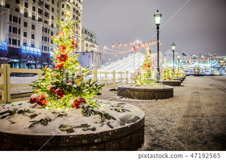 New Year's dressed up Christmas trees for the holiday 47192565