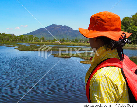 Ozegahara in early summer 47193868