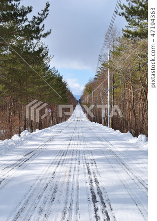 群馬北輕井澤雪道 47194363