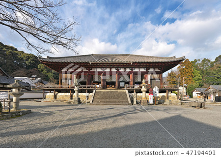 [Hana Temple Hondo] (High Resolution Version) Ihara City Ibaraki City 1263 Nara Prefecture 47194401