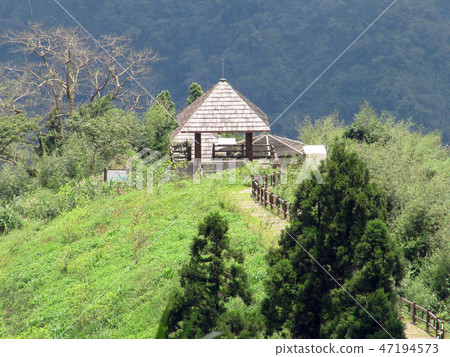 嘉義阿里山隙頂雲海 47194573