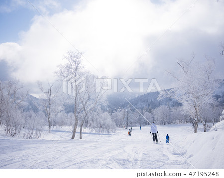 滑雪勝地 滑雪勝地 47195248