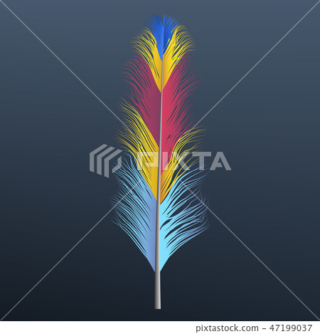Blue red yellow feather icon, realistic style Blue red yellow feather icon, realistic style 47199037