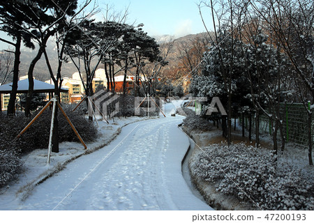 Park, Morning, Walking Park, Morning, Walking 47200193