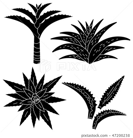 Aloe vera icon set, simple style 47200238