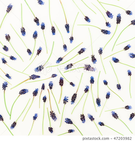 Pattern with blue flowers isolated on white Pattern with blue flowers isolated on white 47203982