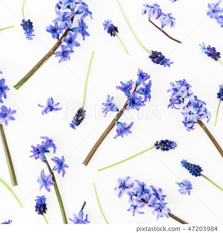 Pattern made of blue flowers and petals Pattern made of blue flowers and petals 47203984