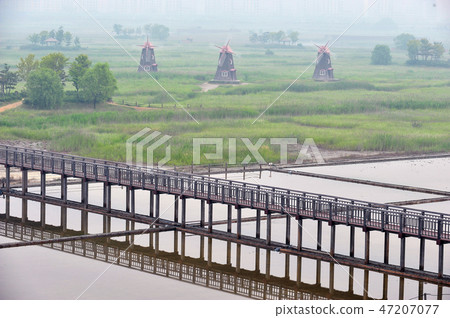 Incheon Sorae Wetland Ecological Park, Korea Incheon Sorae Wetland Ecological Park, Korea 47207077