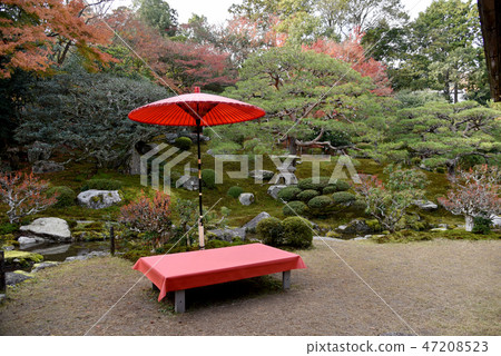 Old bamboo grove garden Old bamboo grove garden 47208523