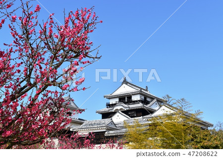 Matsuyama Castle 3 Matsuyama Castle 3 47208622
