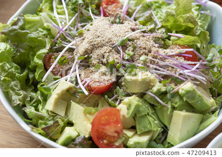 Avocado salad Avocado salad 47209413