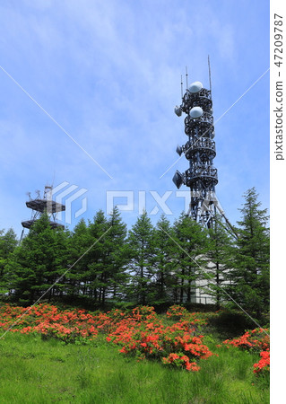 長野縣Misagahara的國王的鼻子和有角的杜鵑花和天線 長野縣Misagahara的國王的鼻子和有角的杜鵑花和天線 47209787