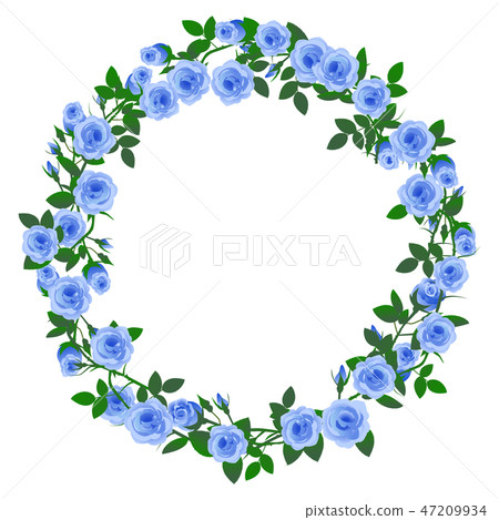 Blue rose frame 03 - Stock Illustration [47209934] - PIXTA