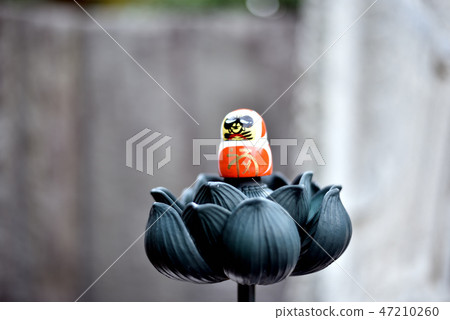 Daruma of Katsuoji Daruma of Katsuoji 47210260
