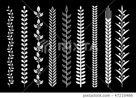 Leaf nature pattern vector illustrations. Leaf nature pattern vector illustrations. 47210466
