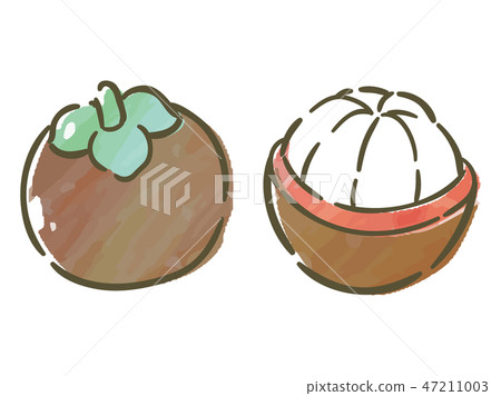 Mangosteen Mangosteen 47211003