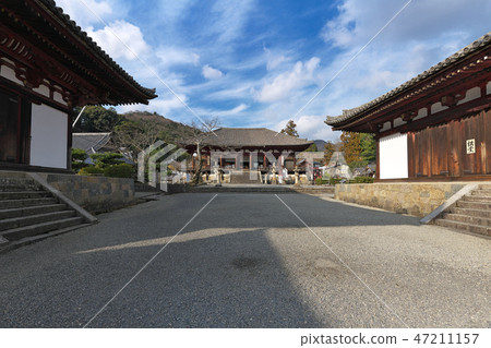 [Hana Temple Hondo] (High Resolution Version) Ihara City Ibaraki City 1263 Nara Prefecture 47211157