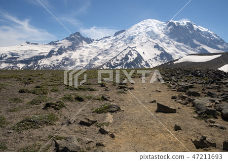 Rainier National Park Scenery 47211693