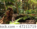 森林 47211719