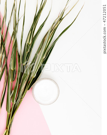 Minimalist fashion and beauty nature photo. Bright Minimalist fashion and beauty nature photo. Bright 47212051