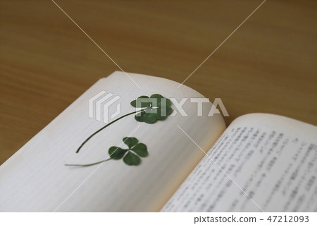 Pressed flower Pressed flower 47212093