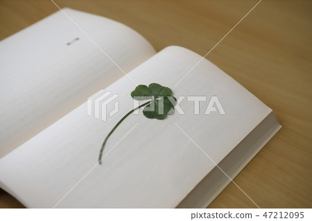 Pressed flower Pressed flower 47212095