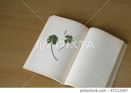 Pressed flower Pressed flower 47212097