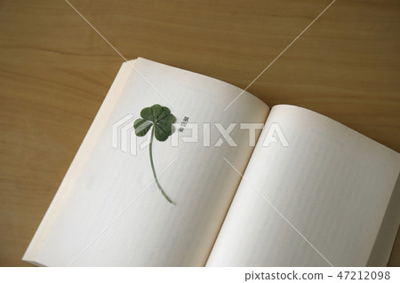 Pressed flower Pressed flower 47212098