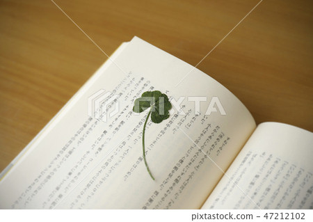 Pressed flower Pressed flower 47212102