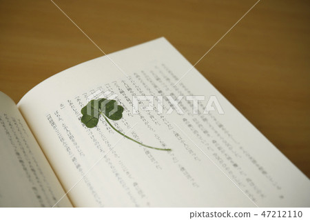 Pressed flower Pressed flower 47212110