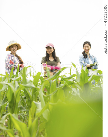 Female agriculture companion Female agriculture companion 47212506