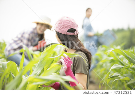 女農業伴侶 照片素材 圖片 圖庫