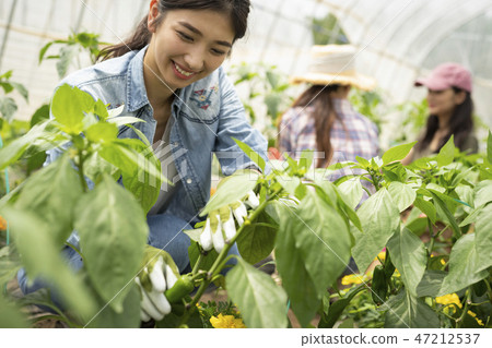Female farming 47212537