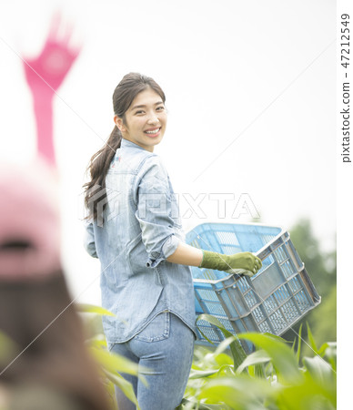 女性農業 47212549