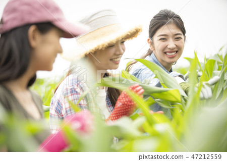 Female agriculture companion 47212559