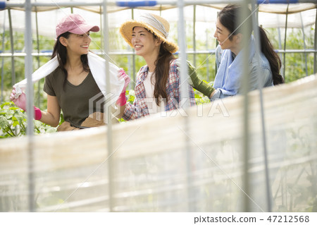 Female agriculture companion Female agriculture companion 47212568