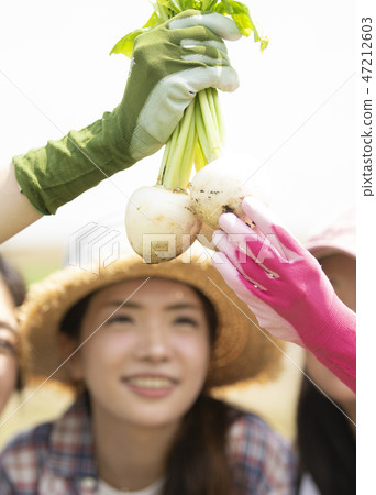 女農業伴侶 47212603