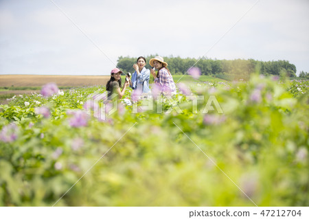 Female agricultural break 47212704