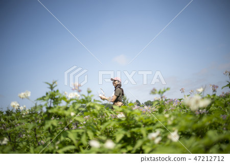 Female agriculture drone 47212712