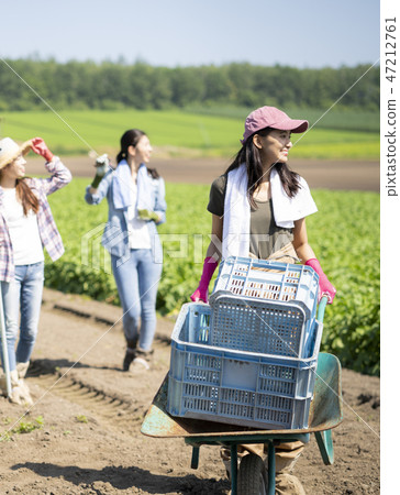 女農業伴侶 47212761