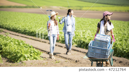 女農業伴侶 照片素材 圖片 圖庫