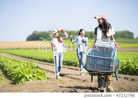 Female agriculture companion 47212786