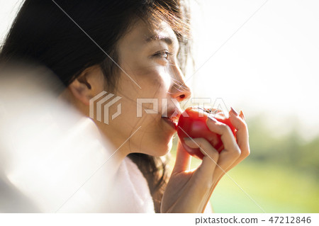Female Hard Worker Image 47212846