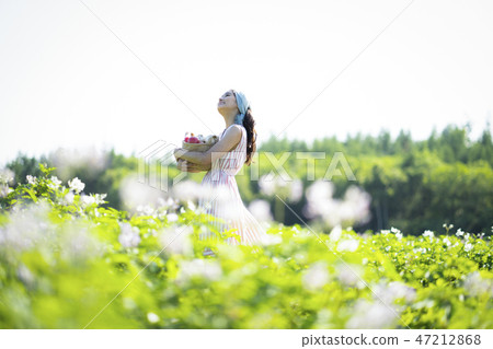 Agricultural Classic Agricultural Classic 47212868