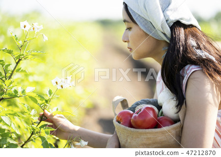 Agricultural Classic 47212870