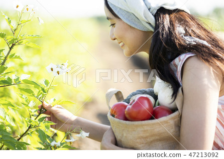 Agricultural Classic 47213092