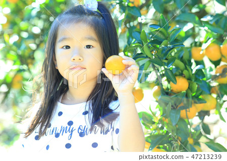 Mandarin orange hunt 47213239