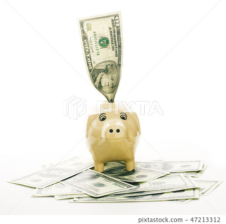 piggy bank among dollars isolated on white background piggy bank among dollars isolated on white background 47213312