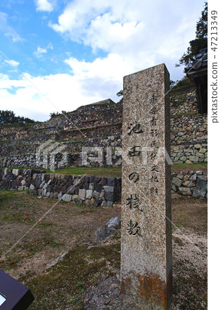 [Shodoshima, a national important tangible folk cultural asset] Ikeda's bridge (No Tenbishiki) 47213349